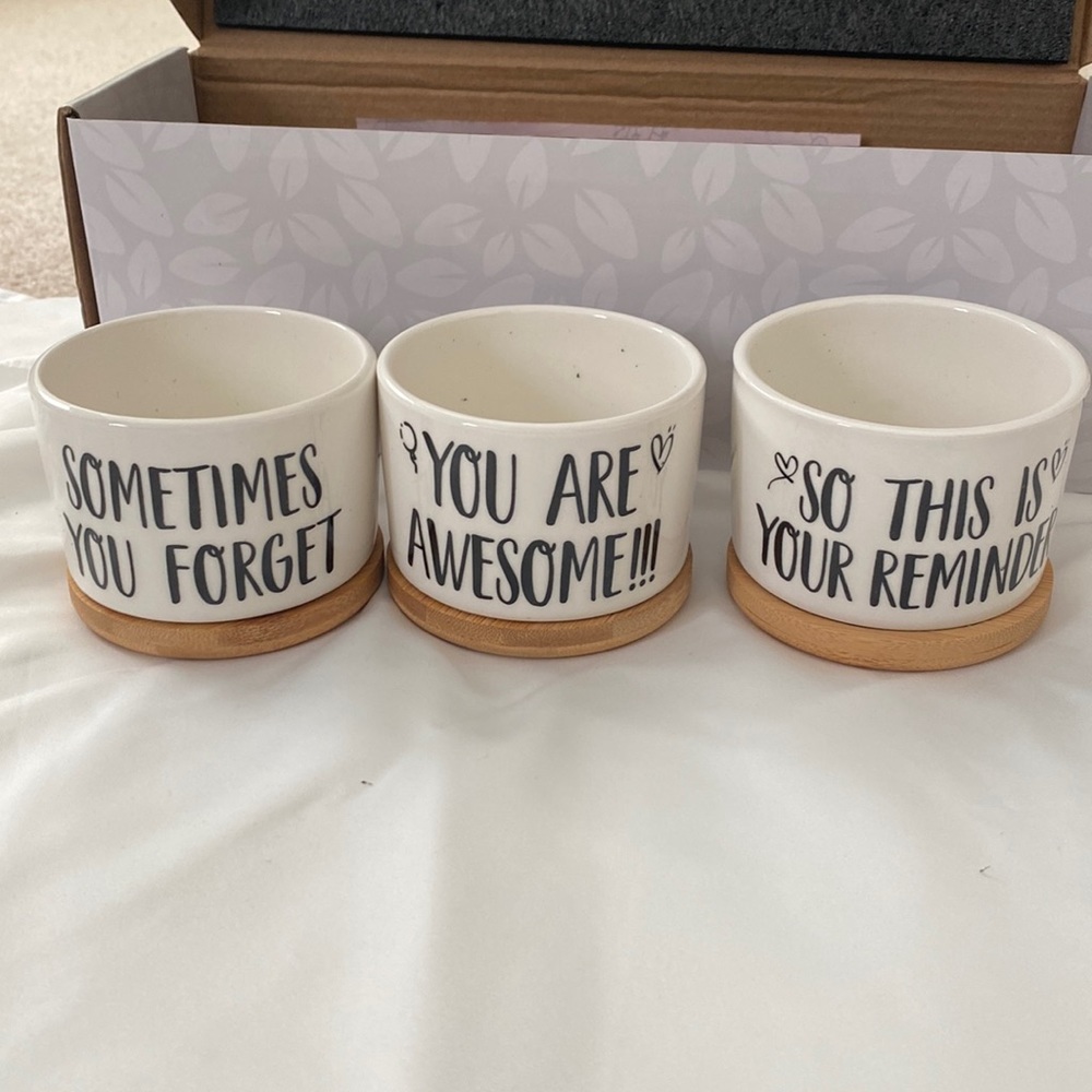 Set of Succulent plant pots